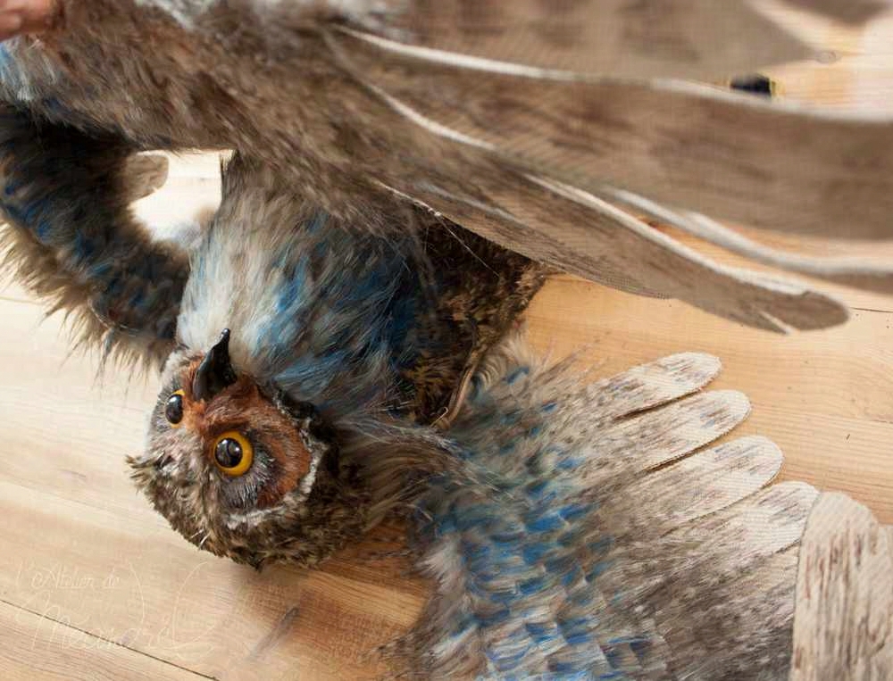 Chouette ! Transformation d’une peluche en marionnette de scène