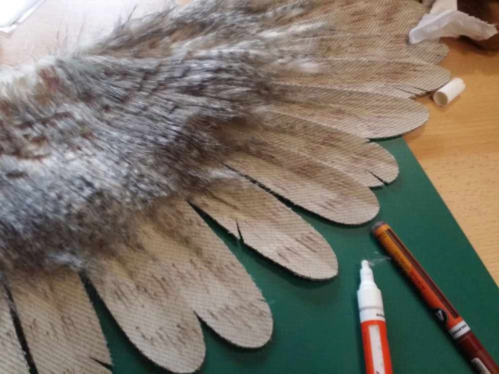 Zoom sur les plumes et des feutres.