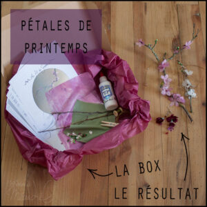 Box créative Pétales de Printemps